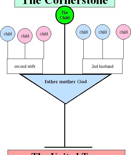 The United Family&nbsp;Tree